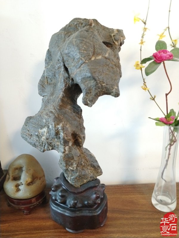 石韵初心传河洛 痴藏太湖守芳华 —— 致敬洛阳赏石前辈李德纯、李重生二老