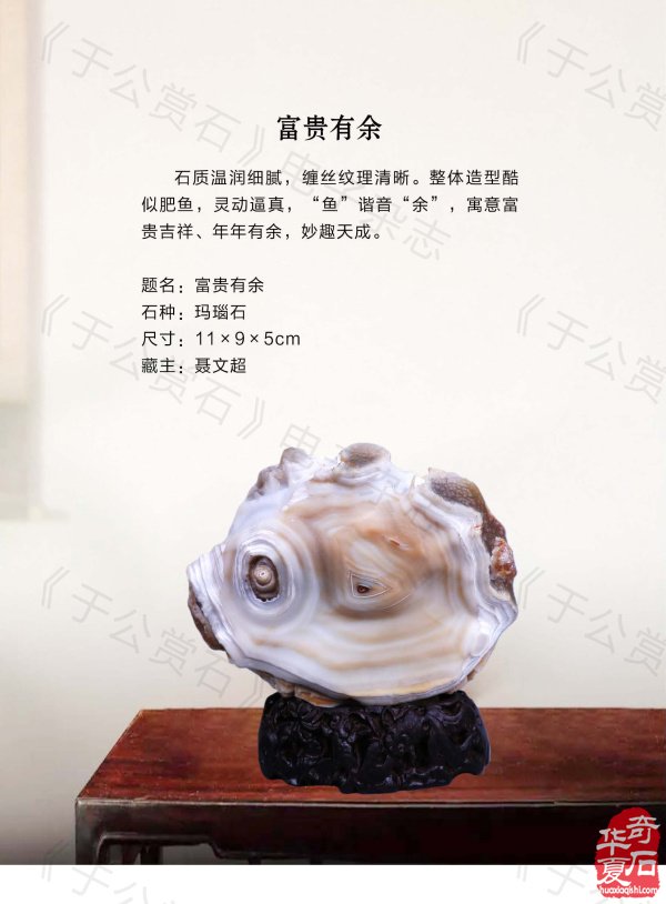 《于公赏石》杂志看展会赏美石 图