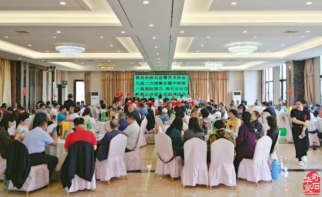 以石为媒续中韩文脉青岛市根石盆景艺术协会谱新篇