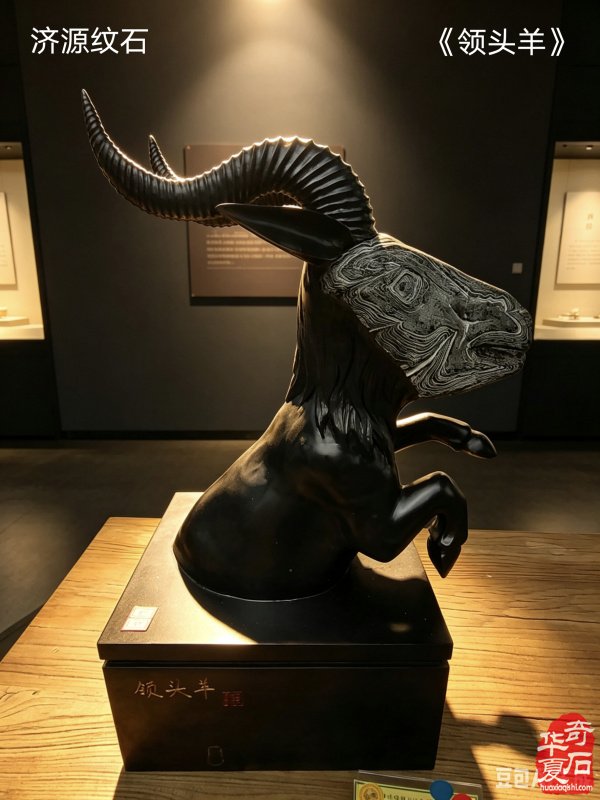 太原第五届 “小井峪杯” 奇石展特金奖权威发布