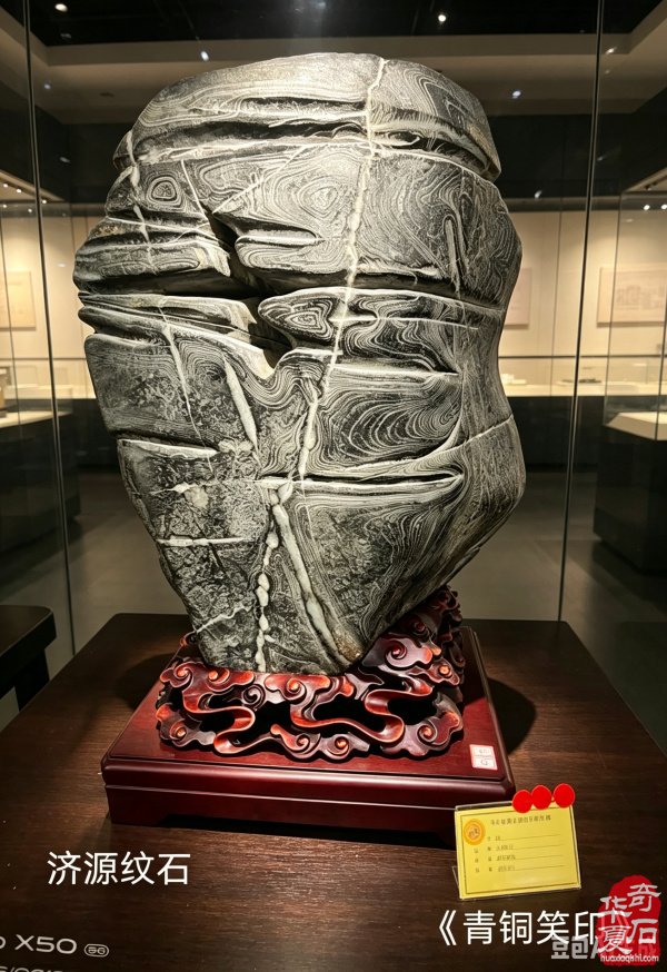 太原第五届 “小井峪杯” 奇石展特金奖权威发布