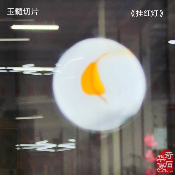 太原第五届 “小井峪杯” 奇石展特金奖权威发布