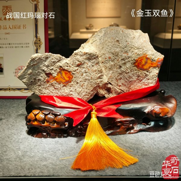 太原第五届 “小井峪杯” 奇石展特金奖权威发布