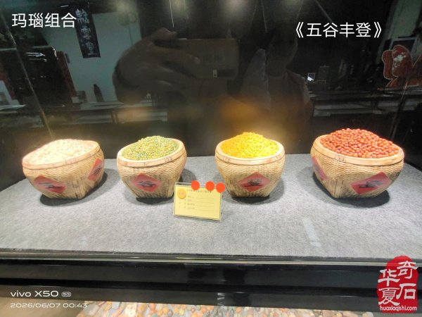 太原第五届 “小井峪杯” 奇石展特金奖权威发布