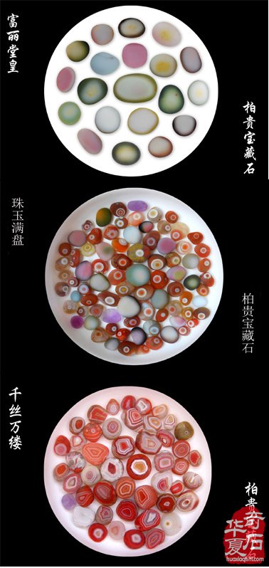难忘的端午石展——记三十年前金鹰国际商厦石展 