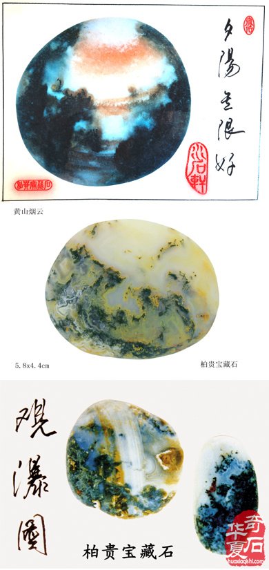 难忘的端午石展——记三十年前金鹰国际商厦石展 