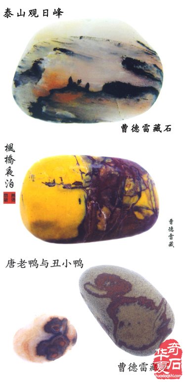 难忘的端午石展——记三十年前金鹰国际商厦石展 