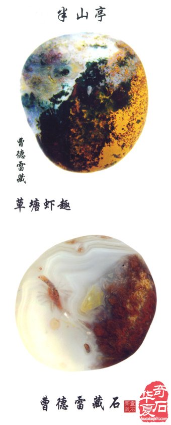难忘的端午石展——记三十年前金鹰国际商厦石展 