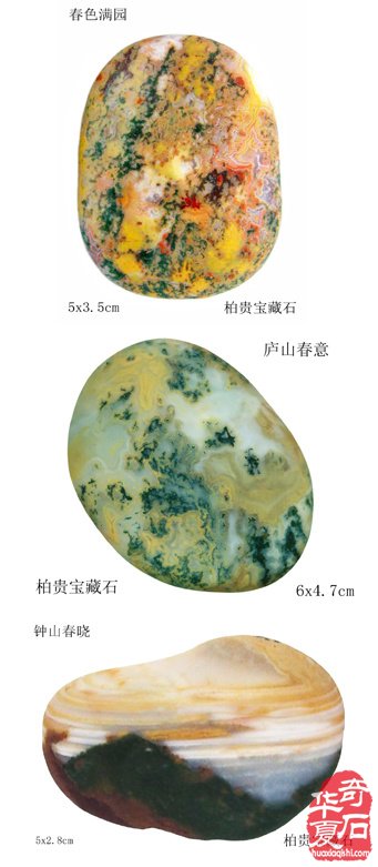 难忘的端午石展——记三十年前金鹰国际商厦石展 