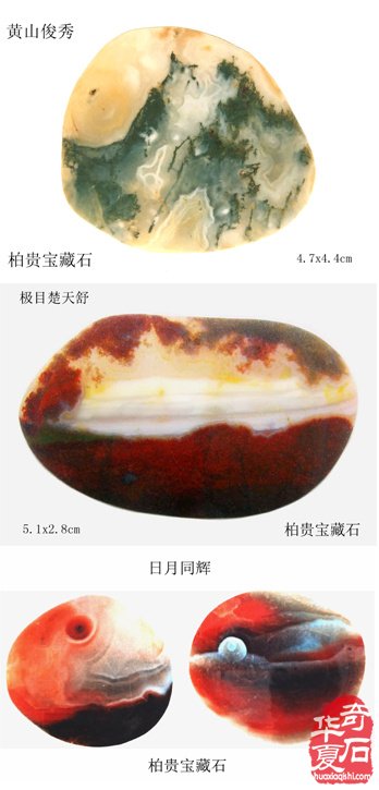 难忘的端午石展——记三十年前金鹰国际商厦石展 