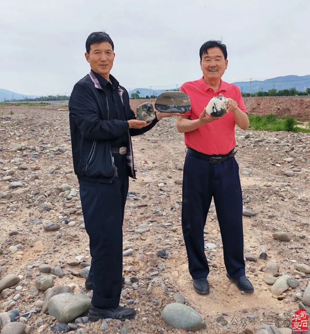 以石会友传佳话 陕甘同心结石缘——渭南天水石友甘谷深度交流活动圆满举行