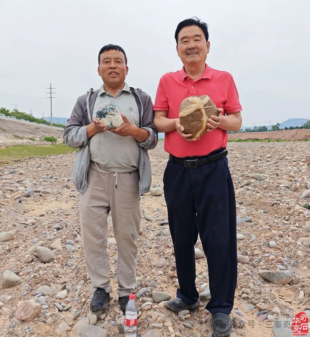 以石会友传佳话 陕甘同心结石缘——渭南天水石友甘谷深度交流活动圆满举行