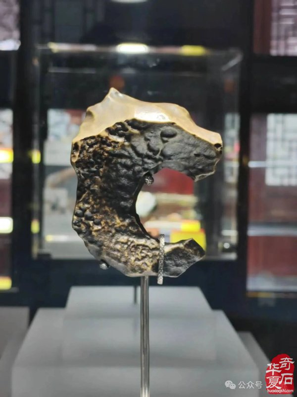 第十七届新疆国际观赏石和田玉精品博览会特金奖作品欣赏