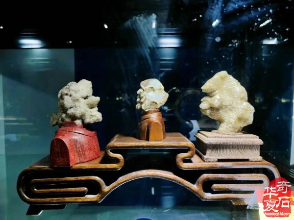 第十七届新疆国际观赏石和田玉精品博览会特金奖作品欣赏