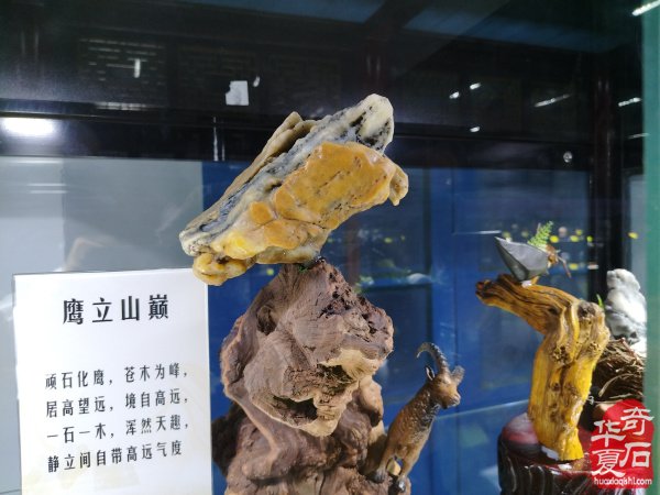 第十七届新疆国际观赏石和田玉精品博览会特金奖作品欣赏