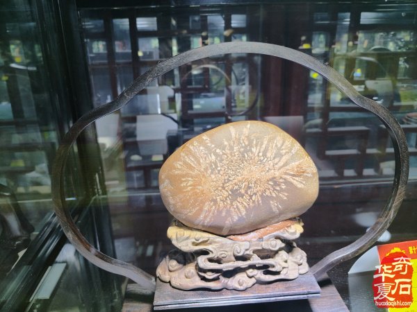 第十七届新疆国际观赏石和田玉精品博览会特金奖作品欣赏