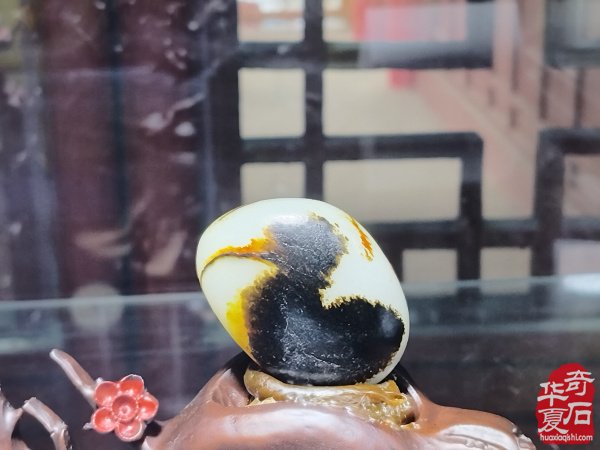 第十七届新疆国际观赏石和田玉精品博览会特金奖作品欣赏