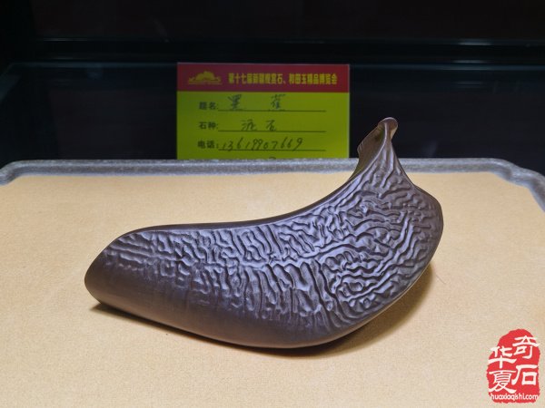 第十七届新疆国际观赏石和田玉精品博览会特金奖作品欣赏