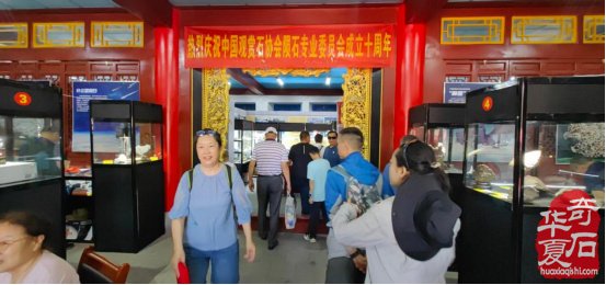十载星途守初心 星河盛宴启新章