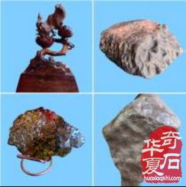 十载星途守初心 星河盛宴启新章
