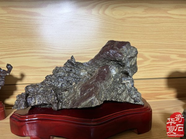 洛阳赏石文化活动万里行走进托克逊