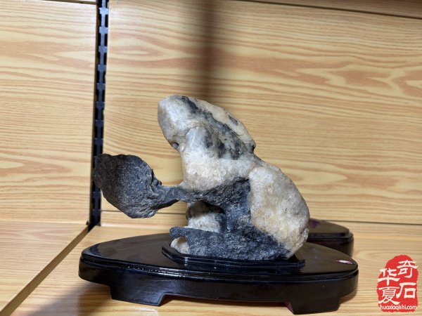 洛阳赏石文化活动万里行走进托克逊