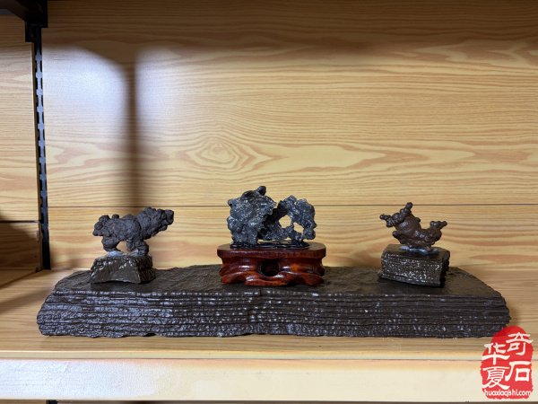 洛阳赏石文化活动万里行走进托克逊
