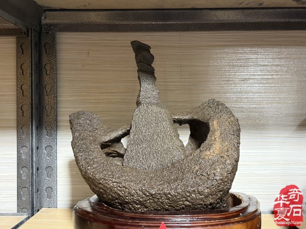 洛阳赏石文化活动万里行走进托克逊