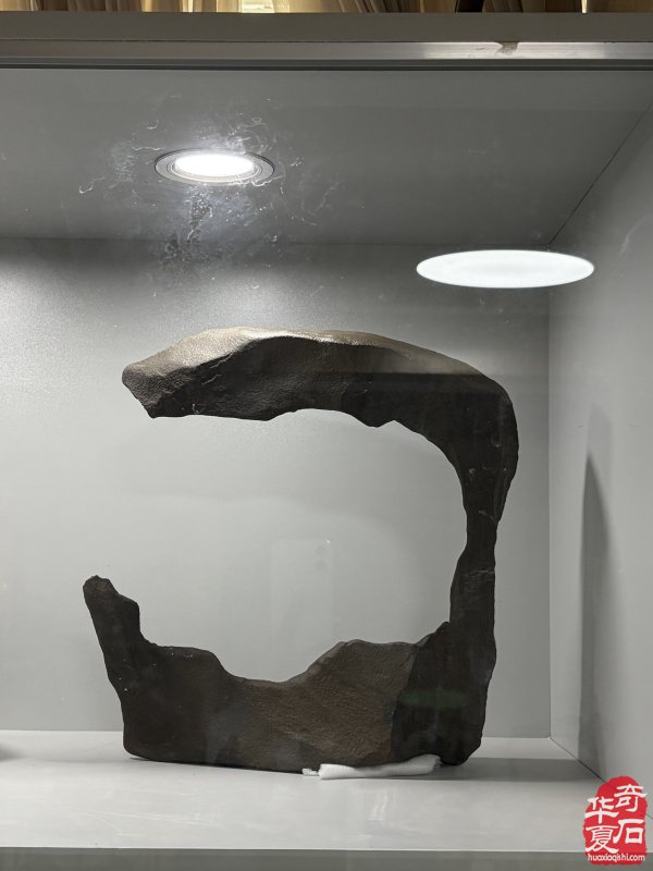 洛阳赏石文化活动万里行走进托克逊