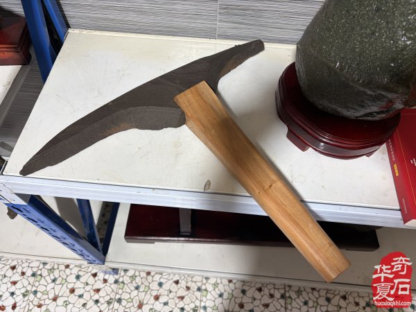 洛阳赏石文化活动万里行走进托克逊