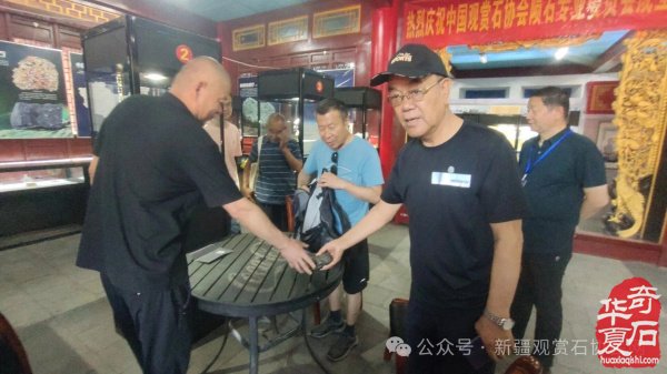凝心聚力赏石韵，满载收获启新程——第十七届新疆石博会圆满闭幕
