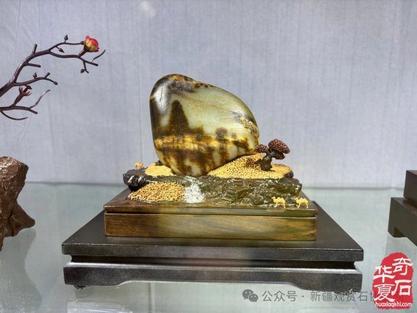 凝心聚力赏石韵，满载收获启新程——第十七届新疆石博会圆满闭幕