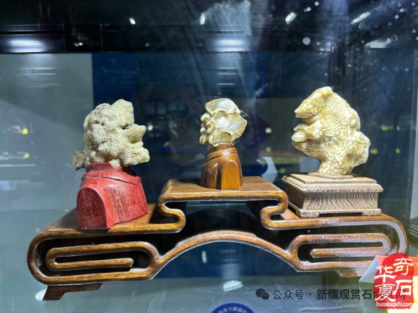 凝心聚力赏石韵，满载收获启新程——第十七届新疆石博会圆满闭幕