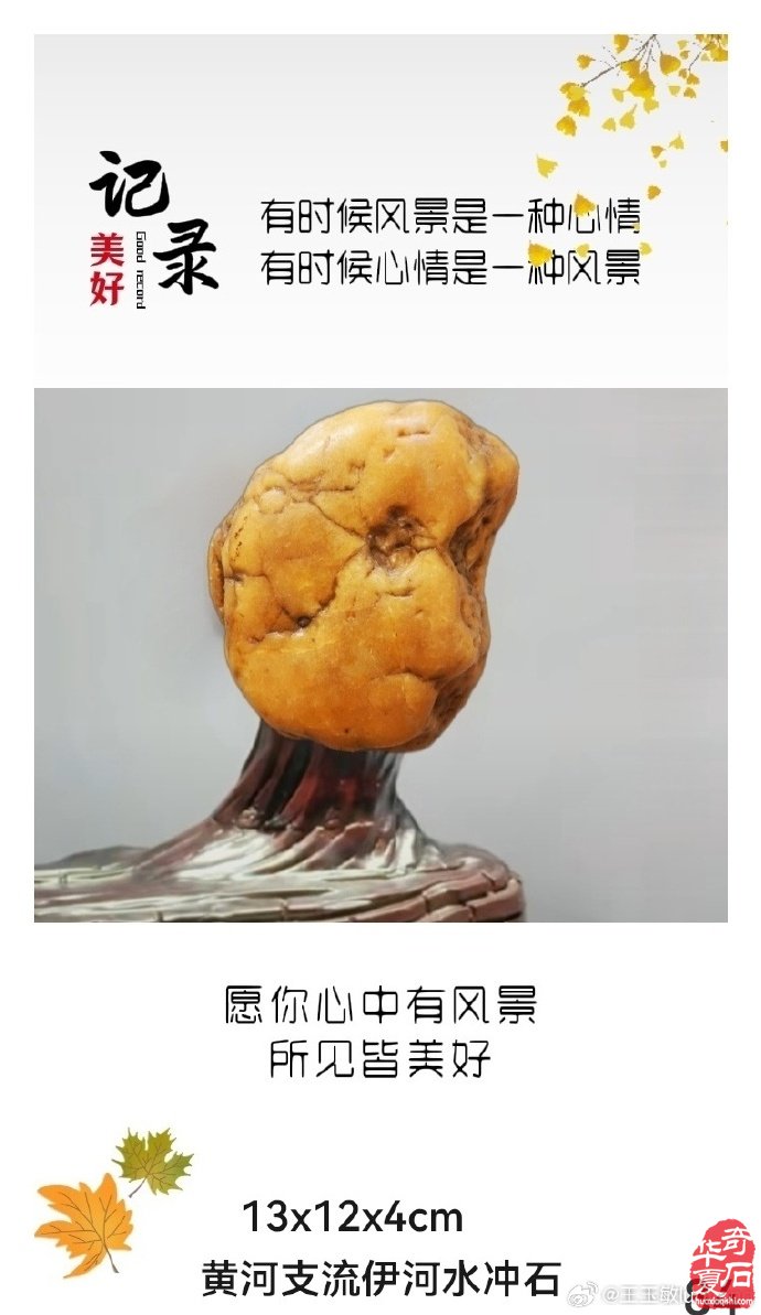 去河滩捡石头能捡着宝你信吗