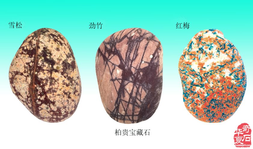 看美妙奇石如何展现《岁寒三友》