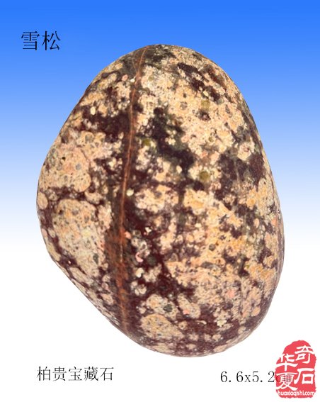 看美妙奇石如何展现《岁寒三友》