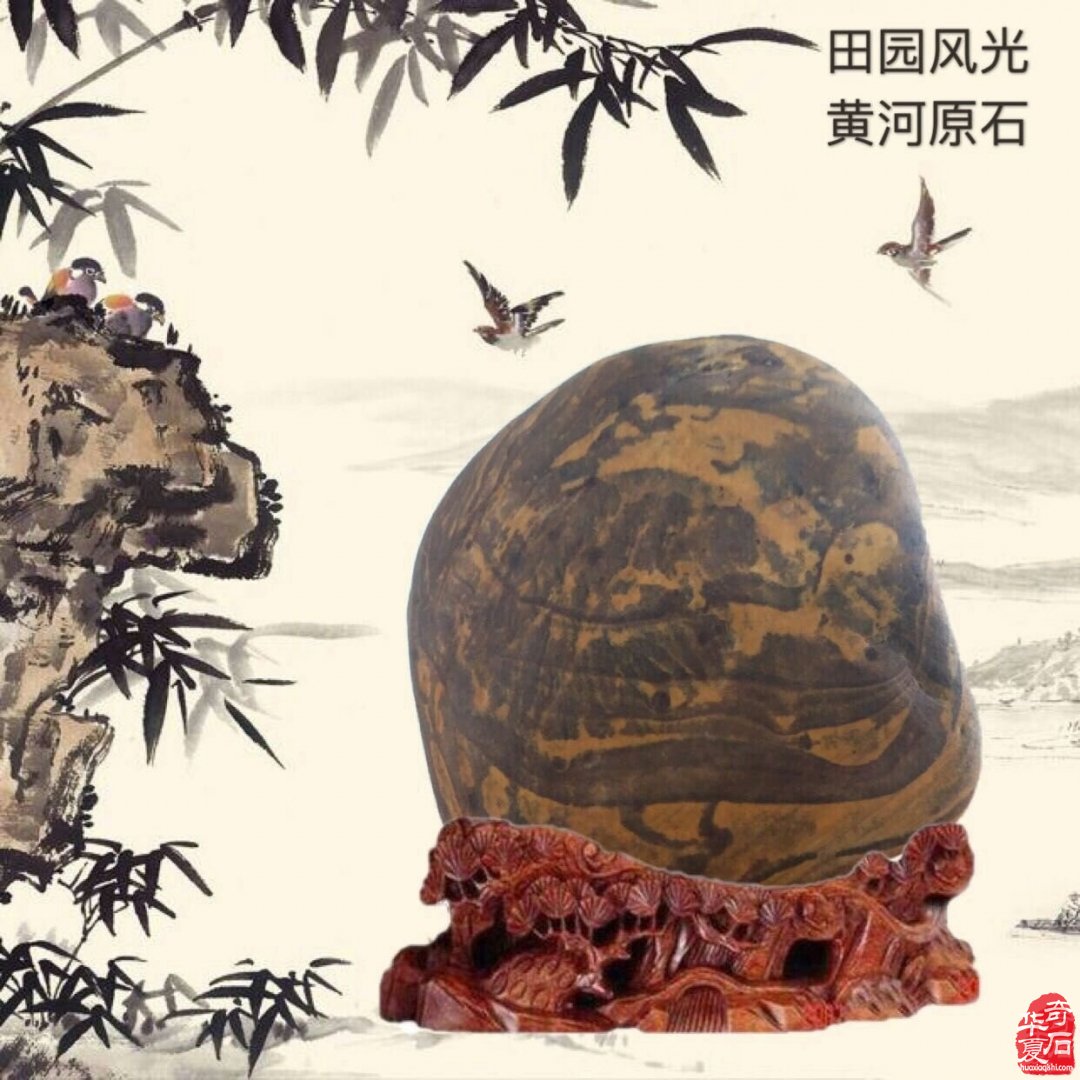 赏玩奇石的利弊关乎个人的得失