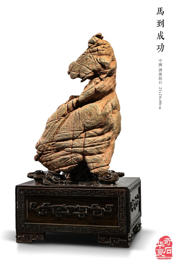 石铜同脉证文明 —— 济源纹石与上古符号的时空共鸣