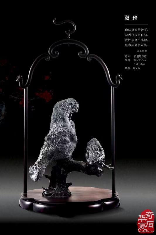 实业笃行守初心 藏石问道文脉传