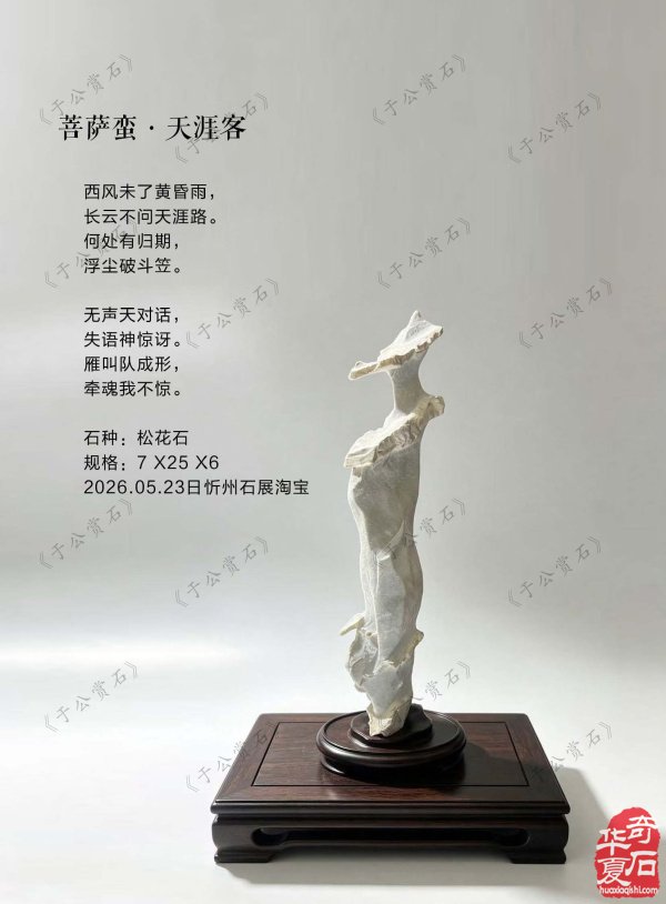 新一期《于公赏石》电子版杂志上线啦