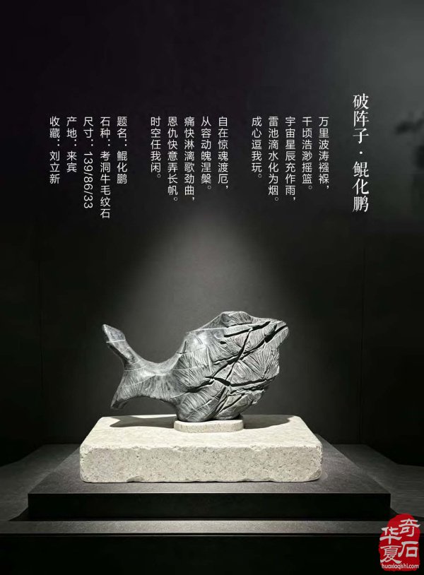 新一期《于公赏石》电子版杂志上线啦