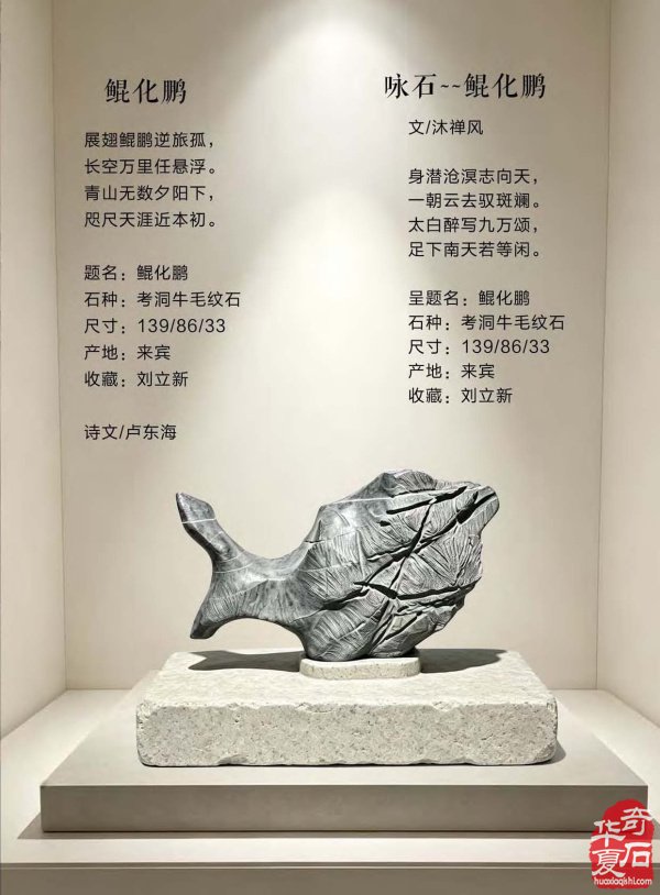 新一期《于公赏石》电子版杂志上线啦