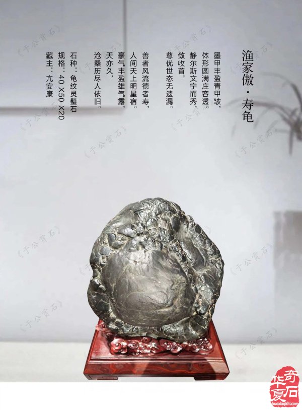 新一期《于公赏石》电子版杂志上线啦