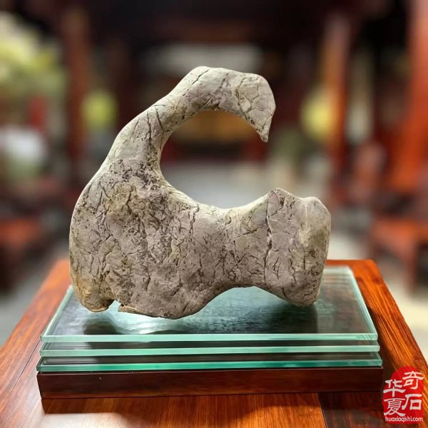 《汉中龙骨石》编撰工作正式启动-图片2