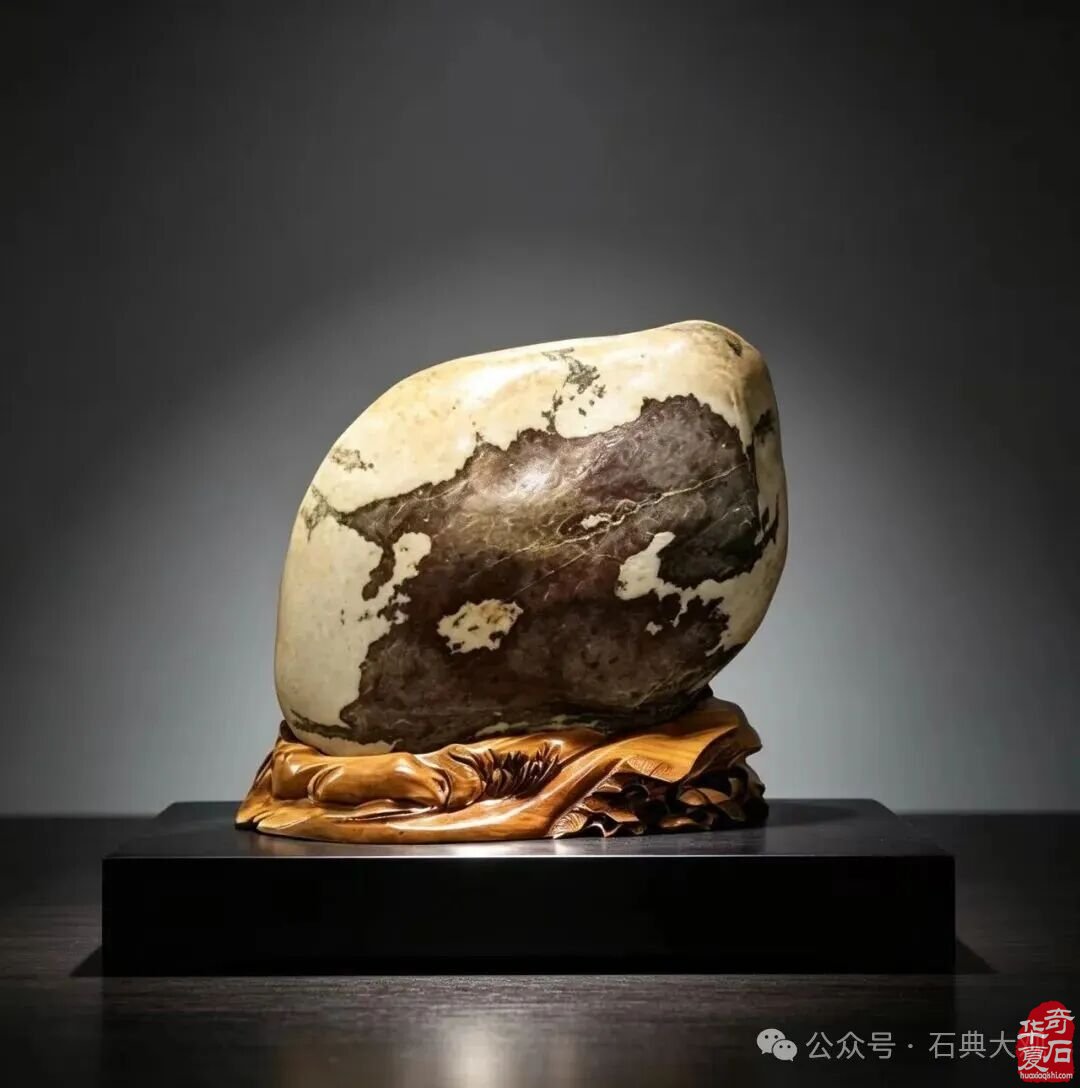 一腔热忱燃石界 半生笃行兴陇石