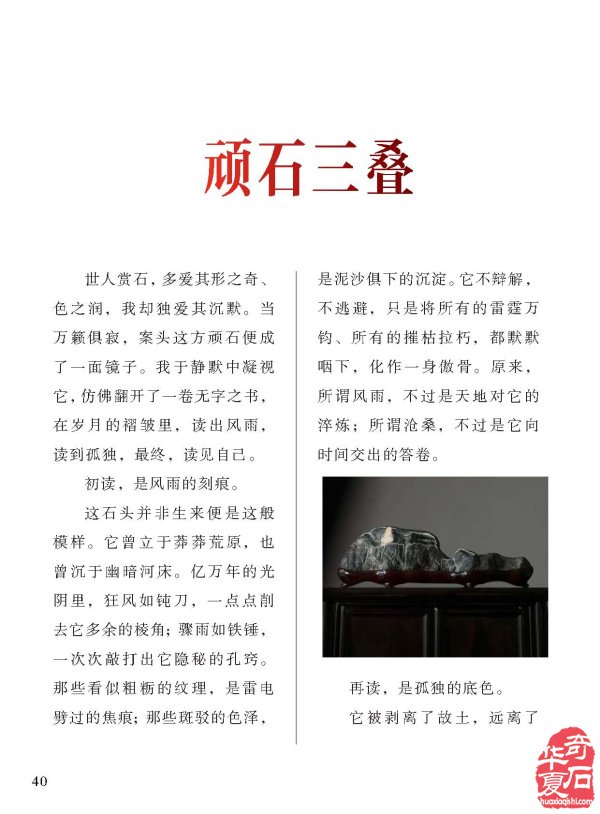 看《于公赏石》精选金秋各地石展