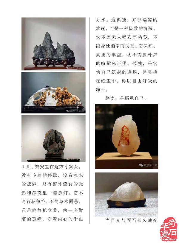 看《于公赏石》精选金秋各地石展