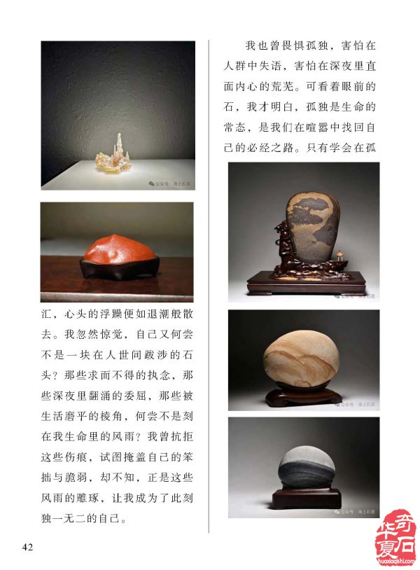 看《于公赏石》精选金秋各地石展