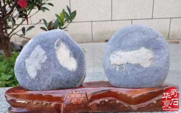 洛阳市赏石协会开展庆八一赏美石活动