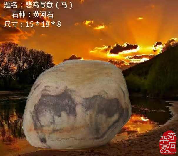 欣赏古朴厚重的黄河美石